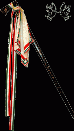 Vőfély/ Ceremóniamester